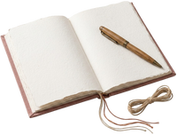 Manifiesto